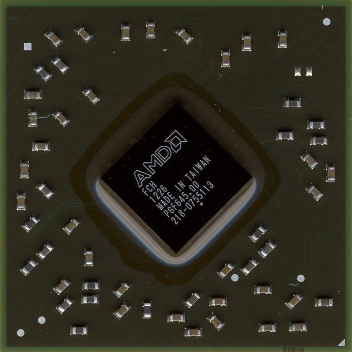 AMD-218-0755113